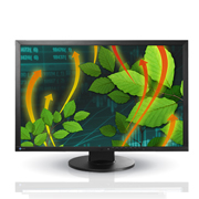 Eizo - FlexScan EV2416W