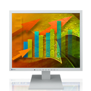 Eizo - FlexScan S1703