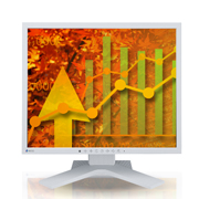 Eizo - FlexScan S1933