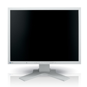 Eizo - FlexScan S2133