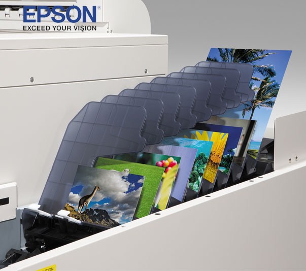 Epson SureLab D3000 (Single Roll)