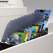 Epson SureLab D3000 (Single Roll)