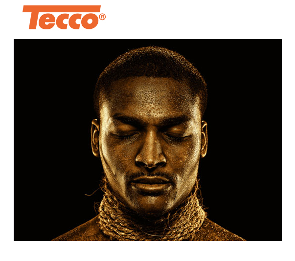 Tecco ISG250 Iridium Silver Gloss