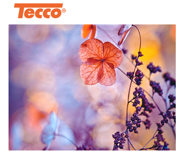 Tecco TFR300 Textured FineArt Rag